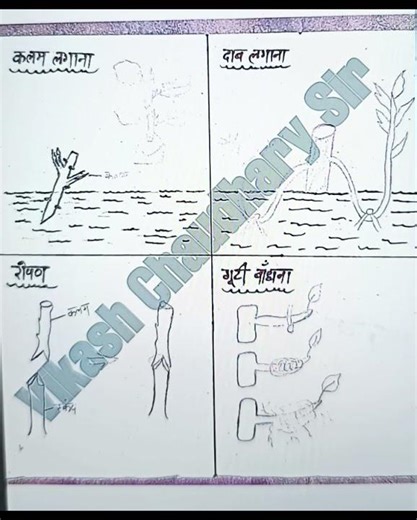 12th biology notes chapter 1