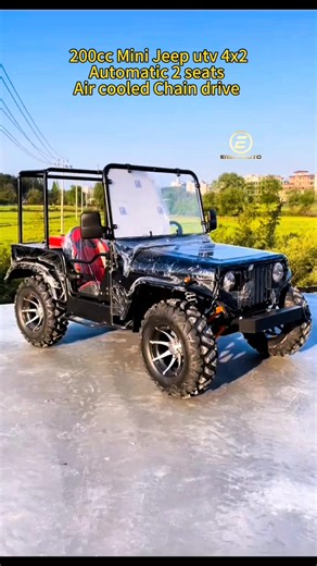 19K views · 232 reactions | Adults Big 200CC Off road Petrol Mini...