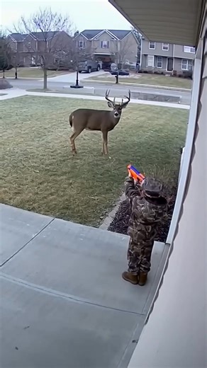 190K views · 1.3K reactions | Perfect shot placement! | Andy Parrish | Facebook