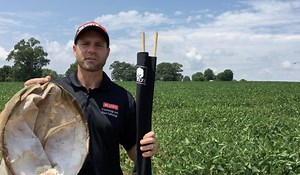 Video: Corn Earworm in Soybean