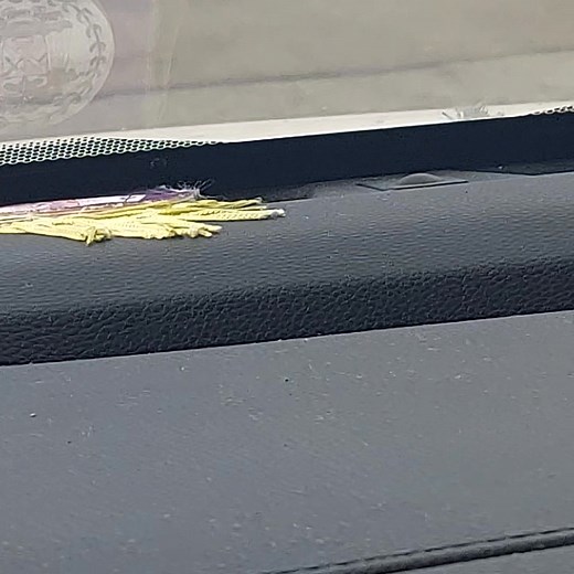 1.7K views · 15 reactions | I'm so tired of inappropriate dress while out the kids, some be all at the school body parts falling all out PLEASE LADIES #JBOSSEnt #highdesert #highdesertliving #viralpost2025シ | Jai Boss | Facebook