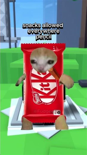 If I Was Your Teacher These Would Be My Rules💀