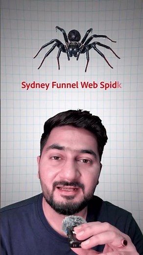The World’s Deadliest Spider Web 😱🕷️ | Funnel-Web Spider Explained #shorts