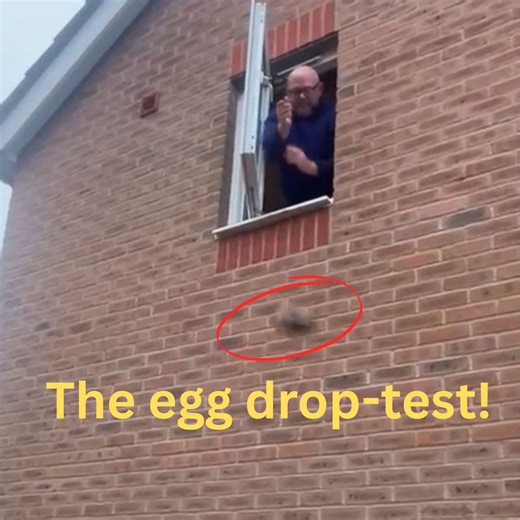 Easter Egg drop test - Russell & Atwell