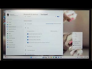How to Change Touchpad Sensitivity and Gestures on Touchpad on ACER Aspire 3