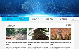 【简单的html】企业网站
