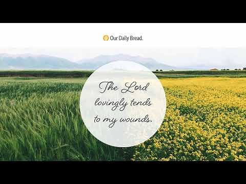 Both Are True | Audio Reading | Our Daily Bread Devotional | November 12, 2022
