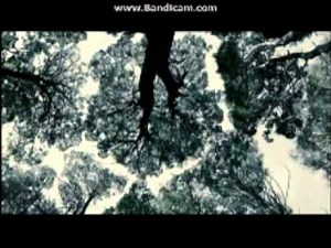 Opening To Prey 2006 DVD