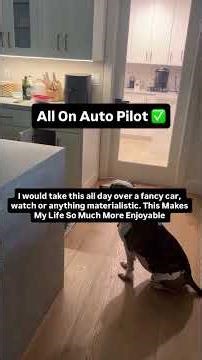 My Real Life Cheat Code (It’s Not AI)