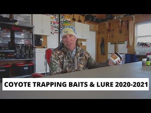 Coyote Trapping Bait and Lure 2020-2021