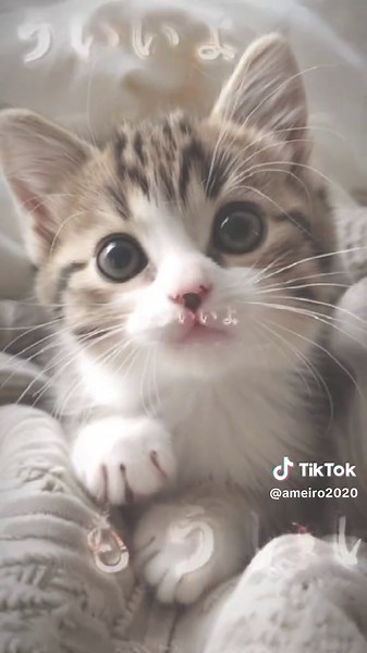 CapCutキーフレーム編集の基礎