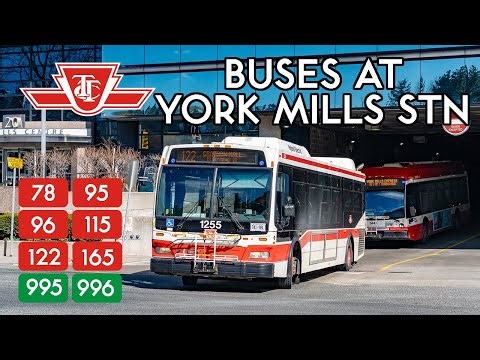 TTC Buses at York Mills Station
