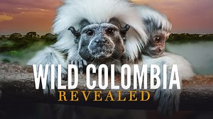 Wild Colombia Revealed (2015)