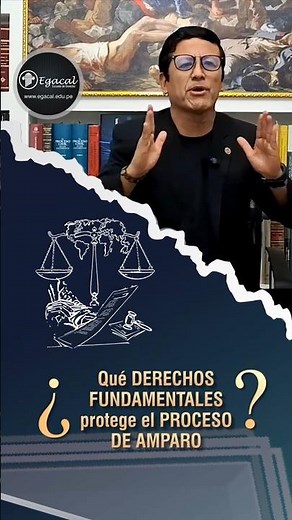¿Qué Derechos Fundamentales protege el Proceso de Amparo? Short 199 TTR 415