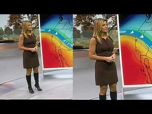 Jen Carfagno - The Weather Channel - 111021 Short Brown Dress - Easy On The Eyes