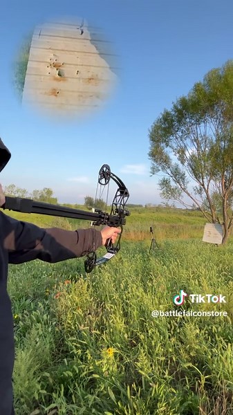 AR16 Rapid-Fire Compound Bow: Unleash Your Archery Skills