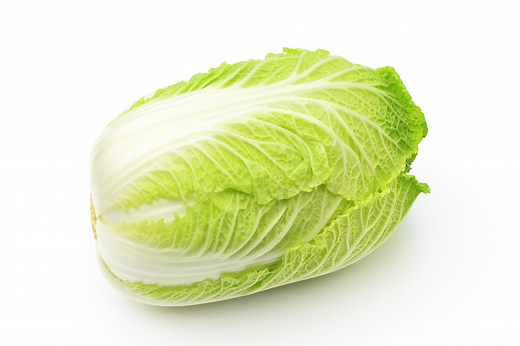 白菜は生で食べられる？気になる疑問を解決！ | デリッシュキッチン