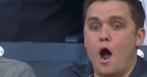 A goose, a squirrel & other animals on the field in MLB games