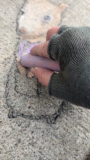 The emergence of Edith in attendance of a botanical breakthrough: | David Zinn