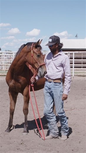 297K views · 6.8K reactions | Ever wonder what champions look like...