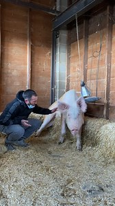 9.8M views · 39K reactions | EL MEJOR REGALO ES VER A PAOLA PONERSE...