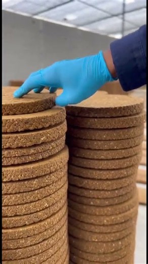 गोबर के उपले बनाने का आसान तरीका | Desi Cow Dung Cake
