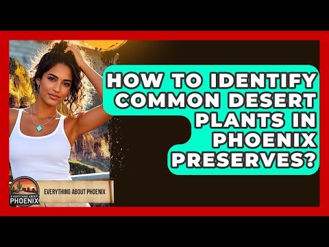 How To Identify Common Desert Plants In Phoenix Preserves? - Everything About Phoenix