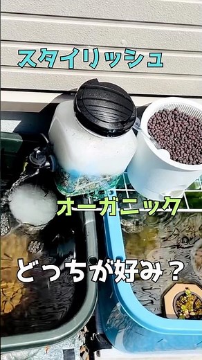 DAISOグッズと水中ポンプでろ過装置を自作！ #メダカ #ビオトープ #DIY