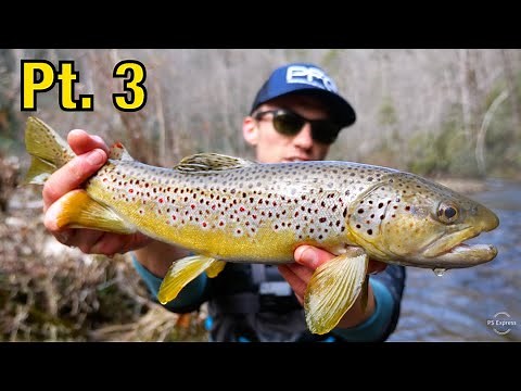 Streamer Fishing for Brown Trout! (ULTRA CLEAR WATER) || North Georgia Trout Pt. 3