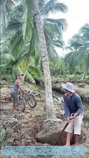Felling with Finesse: How a Precise Wheelbarrow Catch Masters Timber Takedown