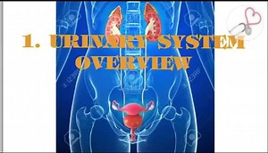 7204303873907887421