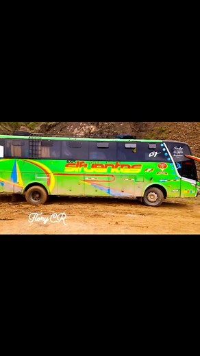 50K views · 688 reactions | FLORY CR on Reels | Facebook