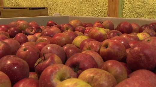 State grants fuel growth for local orchard in Columbia County