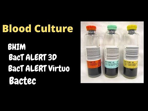 Blood Culture media // Brain heart infusion media // Automated blood culture // BacT ALERT Virtuo