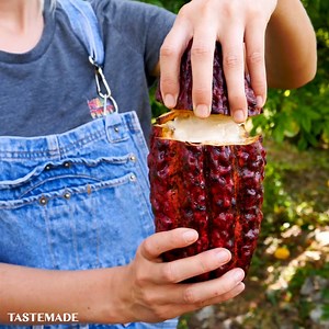 From exotic fruit to wasabi, catch a glimpse of the incredible harvesting process that brings these flavors to life. | Tastemade Travel