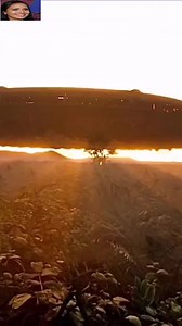 2.3M views · 44K reactions | #aliens #UFO Mysterious Aliens & UFO Disclosure ✔ | Aliens UFO Caught on Camera | Facebook