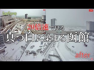 【Clips】真っ白に染まる函館駅前★20倍速再生＠2021.2.2