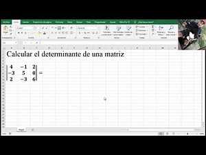 Calcular el determinante de una matriz en Excel - Muy fácil