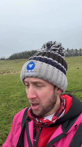 45K views · 1.7K reactions | Final restock for Christmas!!  Feral Farm kids back in stock and some new hat styles! Thanks for all the support so far! | The Sheep Game | Facebook