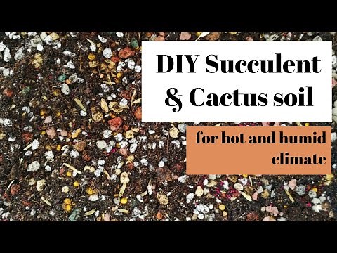 How to mix my succulent soil? (for hot and humid climate)