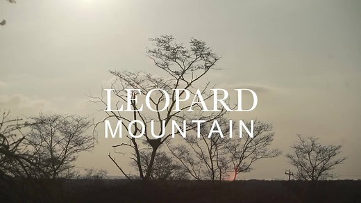 For a spectacular 5 star safari with a difference offering nothing but the best! Welcome to Leopard Mountain... Welcome Home! | Leopard Mountain Safari Lodge