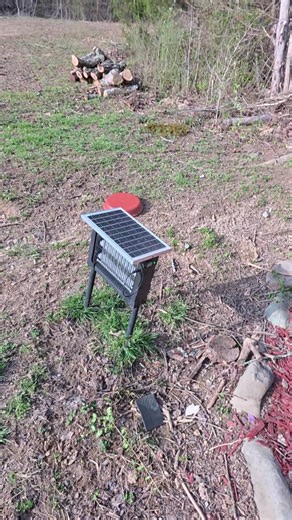 If bugs and mosquitoes ruin your time outside, this solar bug zapper is a simple setup that helps keep your space more comfortable. The bright electric grid attracts flying insects and zaps them on contact, while the solar-powered design lets it run without needing to plug into an outlet. It’s waterproof and built for patios, decks, gardens, campsites, or around the house so you can enjoy being outside without constantly swatting at bugs. #BugZapper #OutdoorLiving #BackyardSetup #TikTokShopCreat