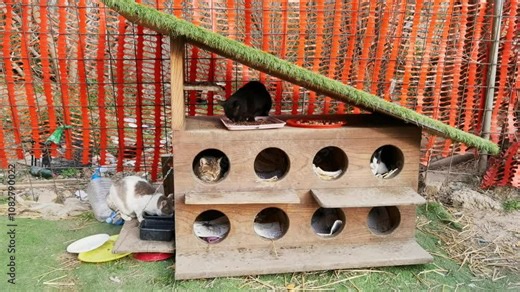 Playful bunnies exploring wooden hutch with food bowls and red fence in outdoor garden setting.