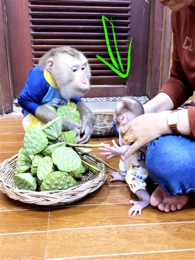 Judy Teaches Jumie Adorable Baby Tricks