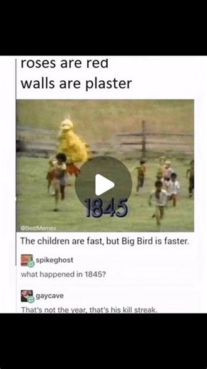 The Shooter Tubbie on Instagram: "Big Bird is a beloved character from the children’s television show “Sesame Street.” Here are some key details about him: - **Appearance**: Big Bird is a large, yellow bird who stands at 8 feet 2 inches tall. He is covered in bright yellow feathers and has a long beak and large eyes. - **Character Traits**: Big Bird is known for his kind, curious, and somewhat naive personality. He is often portrayed as a six-year-old child, despite his towering height. His inno