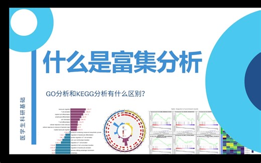 富集分析是什么？GO vs KEGG：初中生都能看懂！