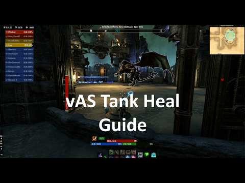 Veteran Asylum Sanctorium Tank Healer Guide