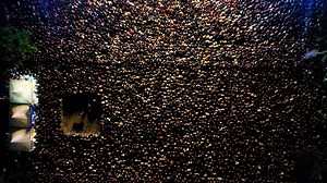 Concert Audience Videos: Download 249+ Free 4K & HD Stock Footage Clips - Pixabay