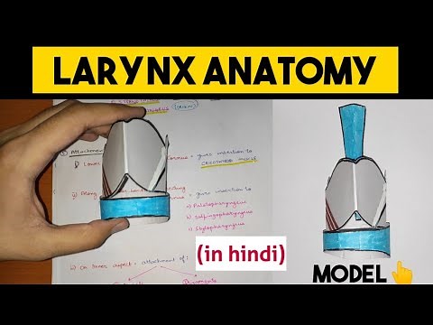 Larynx Anatomy - 1 | Cartilages of Larynx