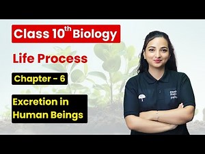 Life Processes - Excretion in Human Beings | Class 10th Biology Chapter 6